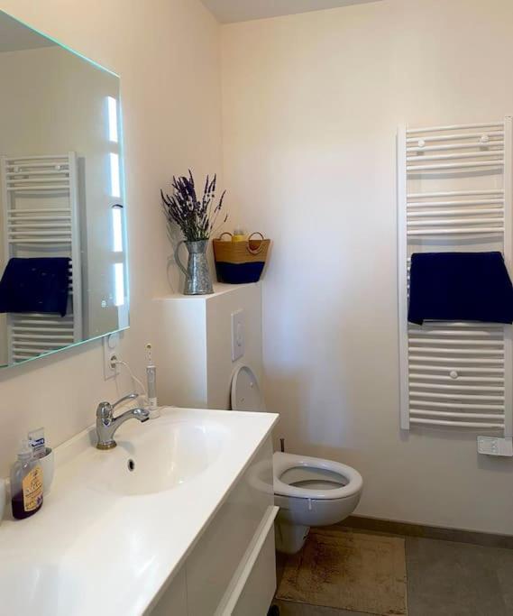 Peaceful Retreat In Drome Provencale Castel Apartment Montboucher-sur-Jabron Bagian luar foto